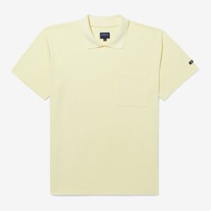 Collared Tee